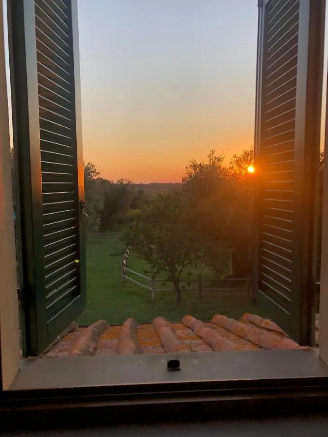Çiftlik konaklama Villa Borgeri Castagneto Carducci İtalya