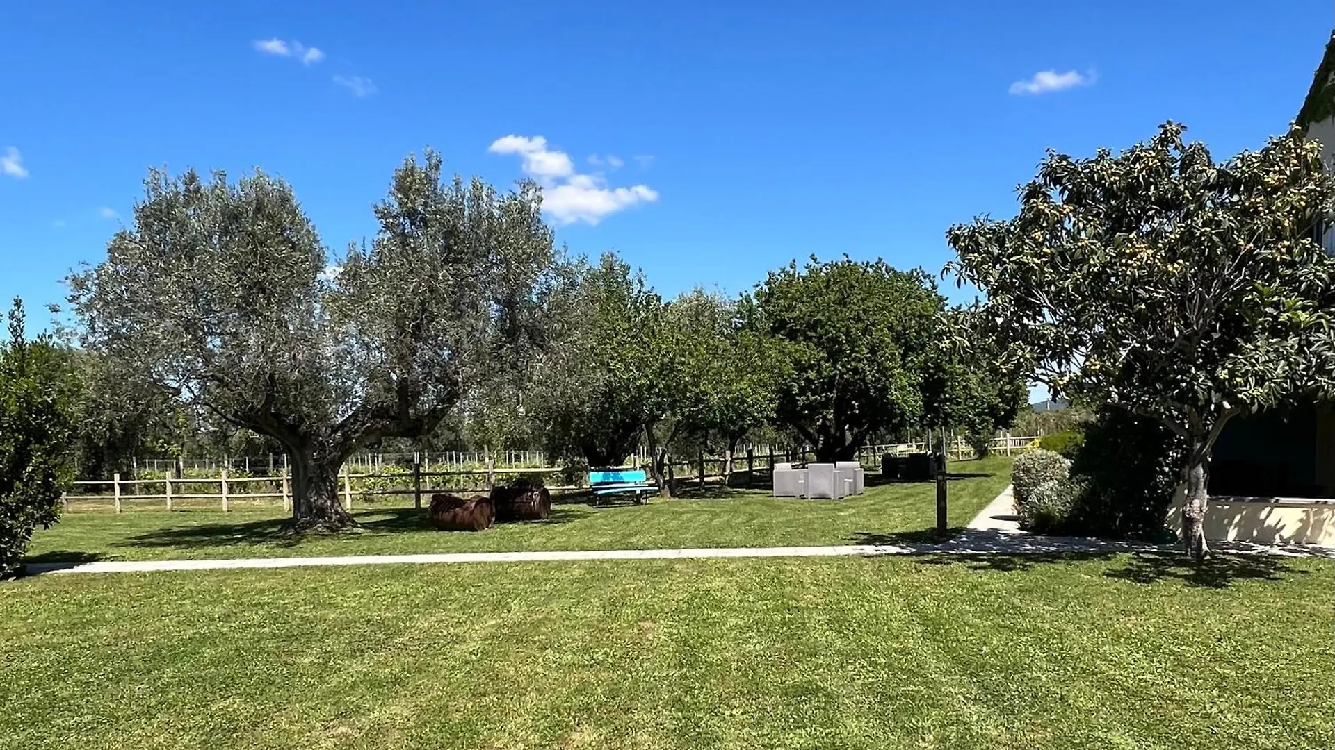 Farm stay Villa Borgeri Castagneto Carducci